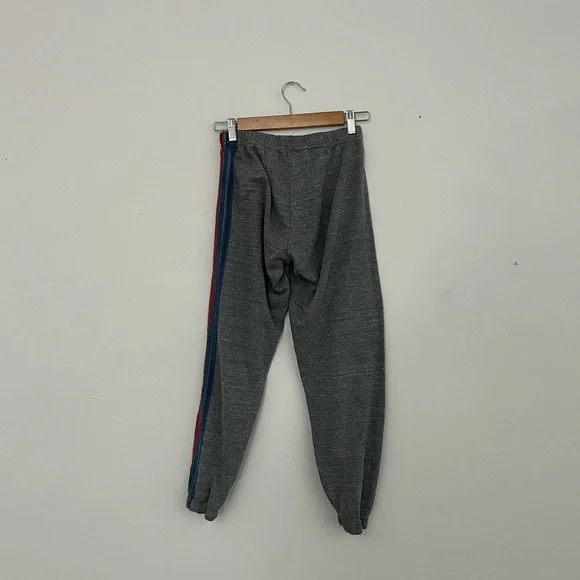 Aviator Nation Colorful Stripe Jogger Sweatpants - Picture 3 of 5